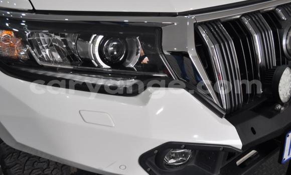 Buy Used Toyota Land Cruiser Prado White Car in Windhoek in Namibia Buy Used Toyota Land Cruiser Prado White Car in Windhoek in Namibia