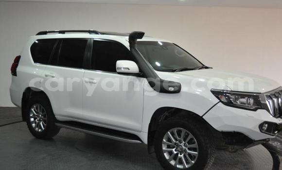 Buy Used Toyota Land Cruiser Prado White Car in Windhoek in Namibia Buy Used Toyota Land Cruiser Prado White Car in Windhoek in Namibia