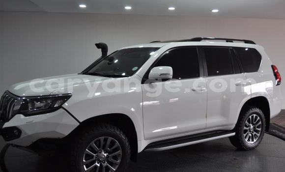 Buy Used Toyota Land Cruiser Prado White Car in Windhoek in Namibia Buy Used Toyota Land Cruiser Prado White Car in Windhoek in Namibia