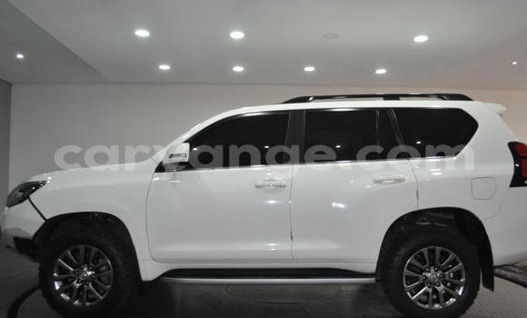Buy Used Toyota Land Cruiser Prado White Car in Windhoek in Namibia Buy Used Toyota Land Cruiser Prado White Car in Windhoek in Namibia
