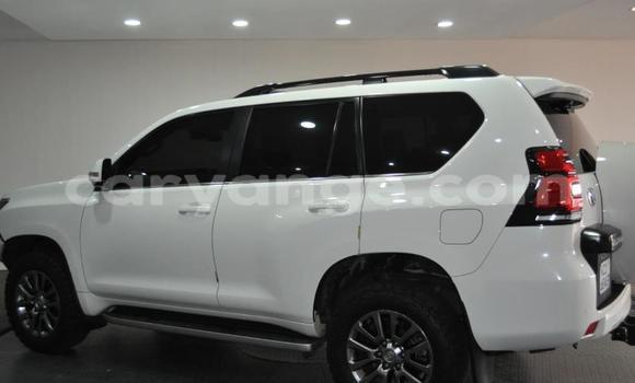 Buy Used Toyota Land Cruiser Prado White Car in Windhoek in Namibia Buy Used Toyota Land Cruiser Prado White Car in Windhoek in Namibia