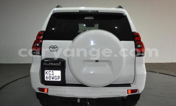 Buy Used Toyota Land Cruiser Prado White Car in Windhoek in Namibia Buy Used Toyota Land Cruiser Prado White Car in Windhoek in Namibia