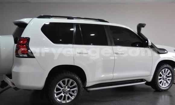 Buy Used Toyota Land Cruiser Prado White Car in Windhoek in Namibia Buy Used Toyota Land Cruiser Prado White Car in Windhoek in Namibia