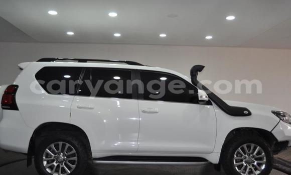 Buy Used Toyota Land Cruiser Prado White Car in Windhoek in Namibia Buy Used Toyota Land Cruiser Prado White Car in Windhoek in Namibia