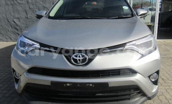 Buy Used Toyota RAV4 Silver Car in Katima Mulilo in Caprivi Buy Used Toyota RAV4 Silver Car in Katima Mulilo in Caprivi