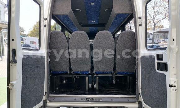 Acheter Occasion Voiture IVECO Massif Blanc à Windhoek, Namibie Acheter Occasion Voiture IVECO Massif Blanc à Windhoek, Namibie