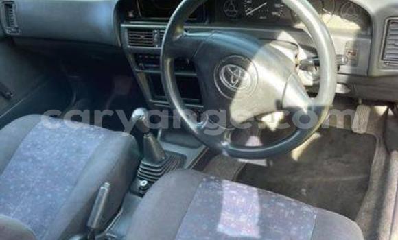 Acheter Occasion Voiture Toyota Corolla Rouge à Windhoek, Namibie Acheter Occasion Voiture Toyota Corolla Rouge à Windhoek, Namibie