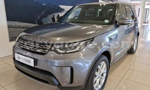 Buy Used Land Rover Discovery Green Car in Grootfontein in Namibia
