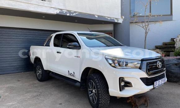 Acheter Occasion Voiture Toyota Hilux Blanc à Karasburg, Karas