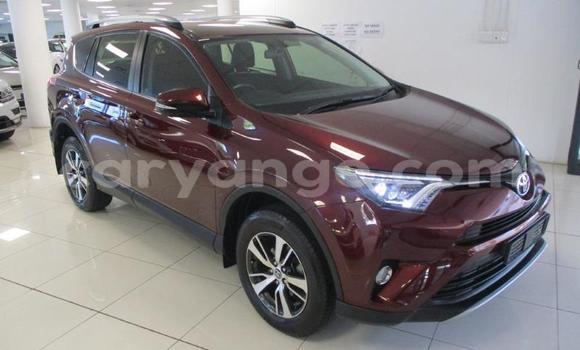 Buy Used Toyota RAV4 Beige Car in Leonardville in Omaheke