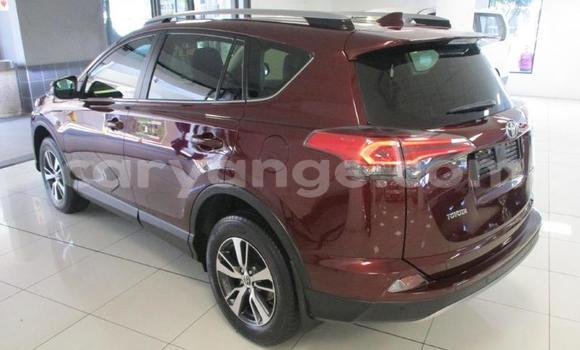 Acheter Occasion Voiture Toyota RAV4 Beige à Leonardville, Omaheke Acheter Occasion Voiture Toyota RAV4 Beige à Leonardville, Omaheke