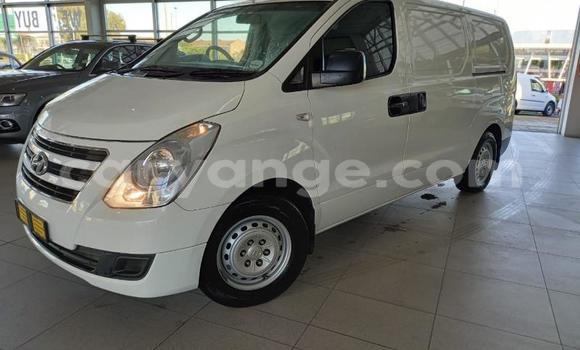 Buy Used Hyundai H1 White Car in Rundu in Namibia
