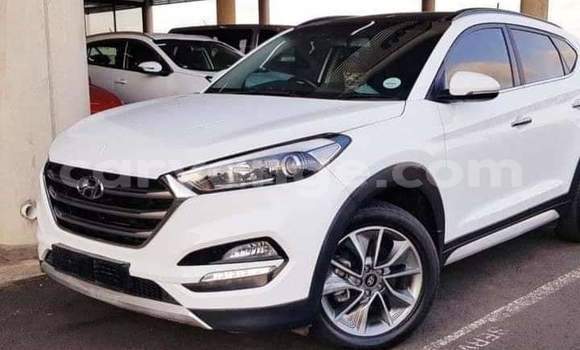 Buy Used Hyundai Tucson Silver Car in Windhoek in Namibia Buy Used Hyundai Tucson Silver Car in Windhoek in Namibia