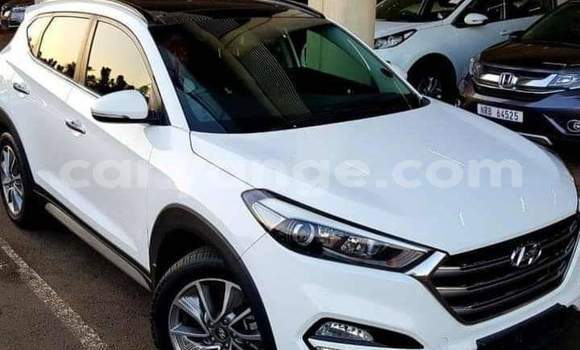 Buy Used Hyundai Tucson Silver Car in Windhoek in Namibia Buy Used Hyundai Tucson Silver Car in Windhoek in Namibia