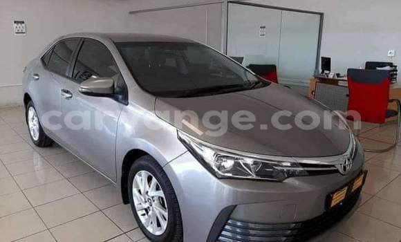 Buy Used Toyota Corolla Silver Car in Windhoek in Namibia Buy Used Toyota Corolla Silver Car in Windhoek in Namibia