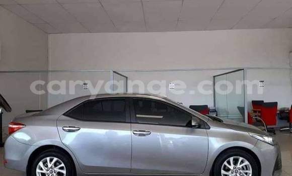 Buy Used Toyota Corolla Silver Car in Windhoek in Namibia Buy Used Toyota Corolla Silver Car in Windhoek in Namibia