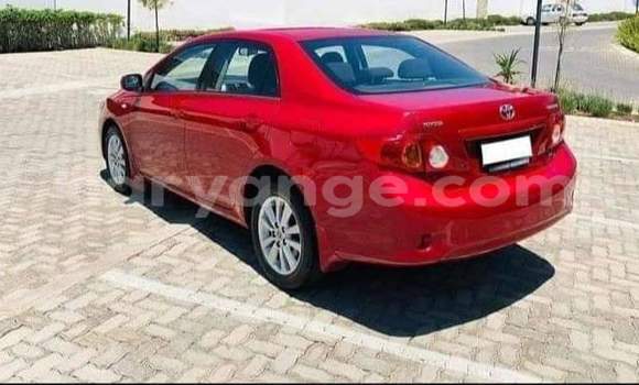 Buy Used Toyota Corolla Red Car in Windhoek in Namibia Buy Used Toyota Corolla Red Car in Windhoek in Namibia