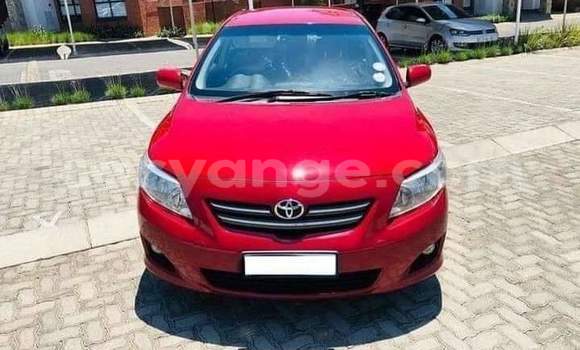 Buy Used Toyota Corolla Red Car in Windhoek in Namibia Buy Used Toyota Corolla Red Car in Windhoek in Namibia