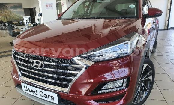 Acheter Occasion Voiture Hyundai Tucson Rouge à Gobabis, Omaheke Acheter Occasion Voiture Hyundai Tucson Rouge à Gobabis, Omaheke