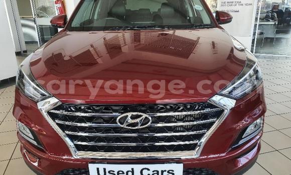 Buy Used Hyundai Tucson Red Car in Gobabis in Omaheke Buy Used Hyundai Tucson Red Car in Gobabis in Omaheke