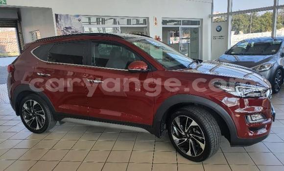 Buy Used Hyundai Tucson Red Car in Gobabis in Omaheke Buy Used Hyundai Tucson Red Car in Gobabis in Omaheke