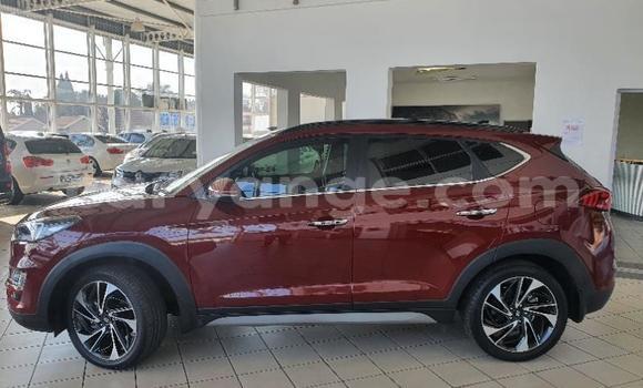 Buy Used Hyundai Tucson Red Car in Gobabis in Omaheke Buy Used Hyundai Tucson Red Car in Gobabis in Omaheke