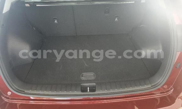 Buy Used Hyundai Tucson Red Car in Gobabis in Omaheke Buy Used Hyundai Tucson Red Car in Gobabis in Omaheke