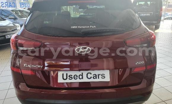 Buy Used Hyundai Tucson Red Car in Gobabis in Omaheke Buy Used Hyundai Tucson Red Car in Gobabis in Omaheke