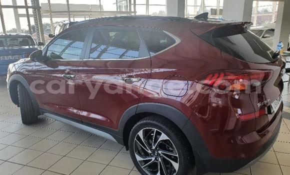 Buy Used Hyundai Tucson Red Car in Gobabis in Omaheke Buy Used Hyundai Tucson Red Car in Gobabis in Omaheke