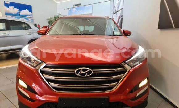 Buy Used Hyundai Tucson Red Car in Windhoek in Namibia