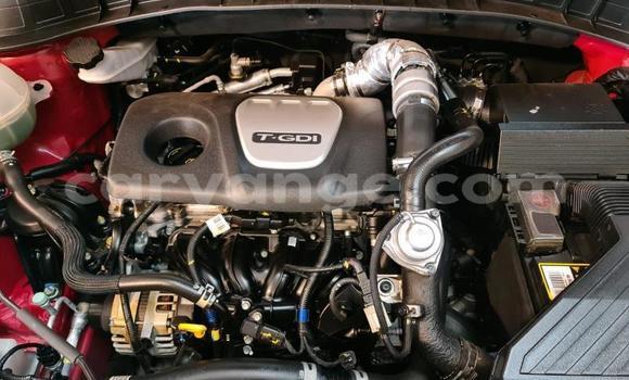 Buy Used Hyundai Tucson Red Car in Windhoek in Namibia Buy Used Hyundai Tucson Red Car in Windhoek in Namibia