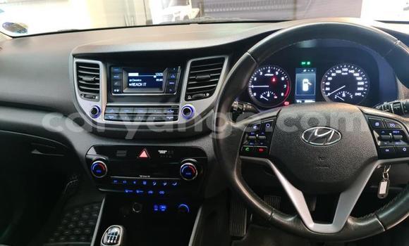 Buy Used Hyundai Tucson Red Car in Windhoek in Namibia Buy Used Hyundai Tucson Red Car in Windhoek in Namibia