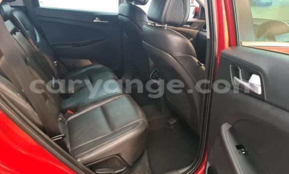 Buy Used Hyundai Tucson Red Car in Windhoek in Namibia Buy Used Hyundai Tucson Red Car in Windhoek in Namibia