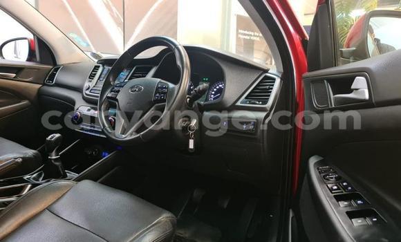 Buy Used Hyundai Tucson Red Car in Windhoek in Namibia Buy Used Hyundai Tucson Red Car in Windhoek in Namibia