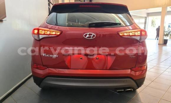 Buy Used Hyundai Tucson Red Car in Windhoek in Namibia Buy Used Hyundai Tucson Red Car in Windhoek in Namibia