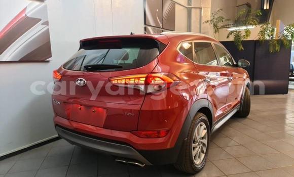 Buy Used Hyundai Tucson Red Car in Windhoek in Namibia Buy Used Hyundai Tucson Red Car in Windhoek in Namibia