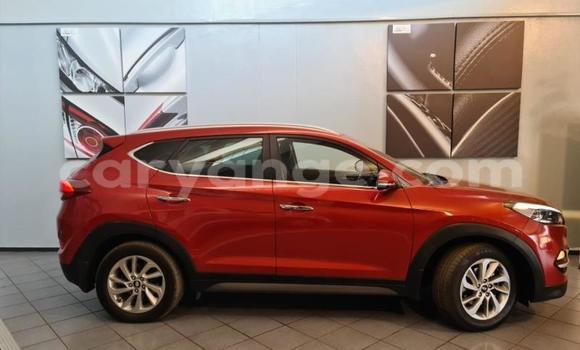Buy Used Hyundai Tucson Red Car in Windhoek in Namibia Buy Used Hyundai Tucson Red Car in Windhoek in Namibia