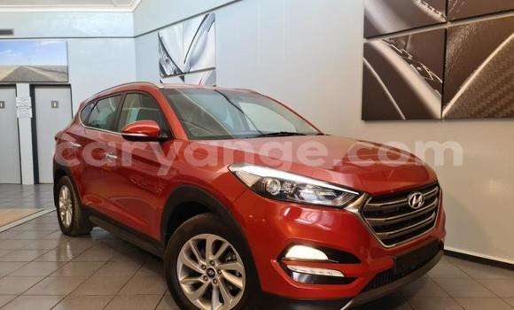 Buy Used Hyundai Tucson Red Car in Windhoek in Namibia Buy Used Hyundai Tucson Red Car in Windhoek in Namibia