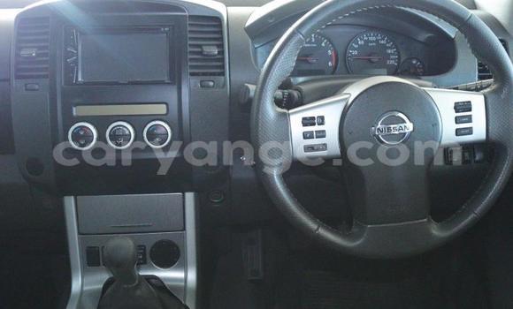 Buy Used Nissan Navara White Car in Windhoek in Namibia Buy Used Nissan Navara White Car in Windhoek in Namibia
