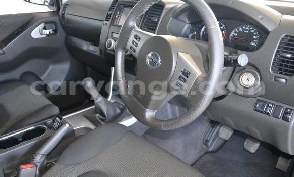Buy Used Nissan Navara White Car in Windhoek in Namibia Buy Used Nissan Navara White Car in Windhoek in Namibia