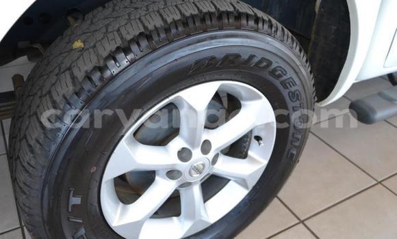 Buy Used Nissan Navara White Car in Windhoek in Namibia Buy Used Nissan Navara White Car in Windhoek in Namibia