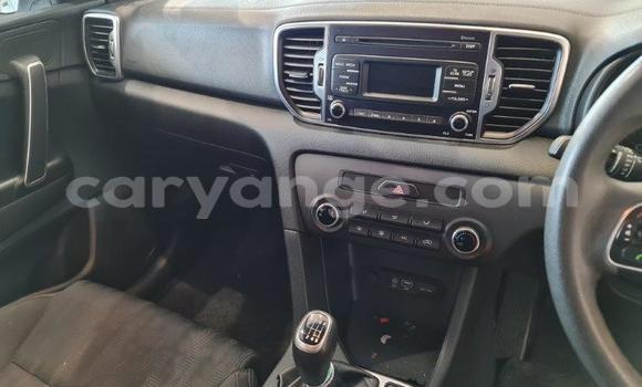 Acheter Occasion Voiture Kia Sportage Blanc à Windhoek, Namibie Acheter Occasion Voiture Kia Sportage Blanc à Windhoek, Namibie