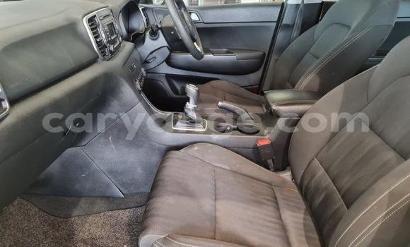 Acheter Occasion Voiture Kia Sportage Blanc à Windhoek, Namibie Acheter Occasion Voiture Kia Sportage Blanc à Windhoek, Namibie