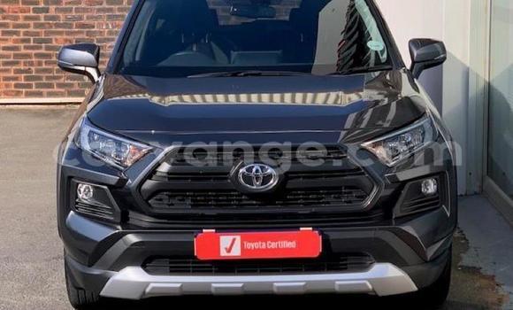 Buy Used Toyota RAV4 Beige Car in Windhoek in Namibia Buy Used Toyota RAV4 Beige Car in Windhoek in Namibia