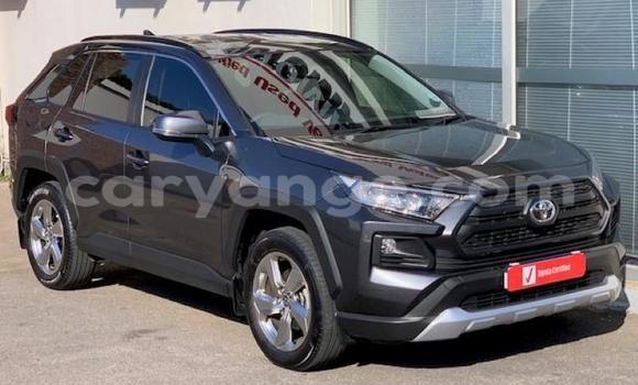 Buy Used Toyota RAV4 Beige Car in Windhoek in Namibia Buy Used Toyota RAV4 Beige Car in Windhoek in Namibia