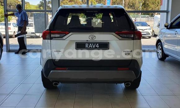 Buy Used Toyota RAV4 White Car in Windhoek in Namibia