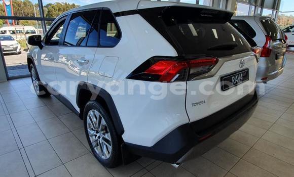 Buy Used Toyota RAV4 White Car in Windhoek in Namibia Buy Used Toyota RAV4 White Car in Windhoek in Namibia
