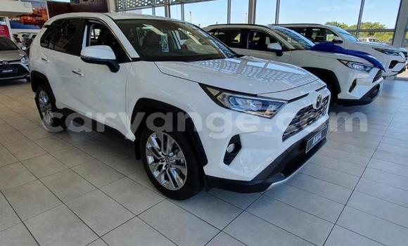 Buy Used Toyota RAV4 White Car in Windhoek in Namibia Buy Used Toyota RAV4 White Car in Windhoek in Namibia
