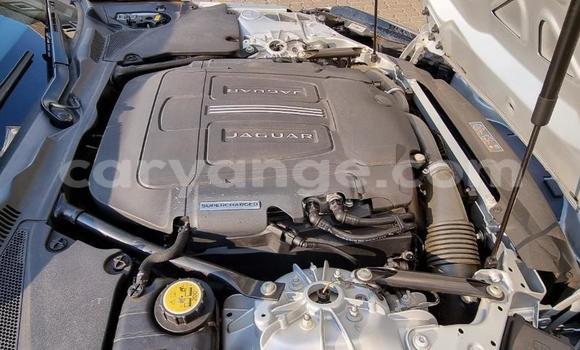 Acheter Occasion Voiture Jaguar F-Type Blanc à Windhoek, Namibie Acheter Occasion Voiture Jaguar F-Type Blanc à Windhoek, Namibie