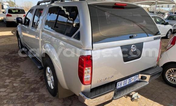 Acheter Occasion Voiture Nissan Navara Gris à Windhoek, Namibie Acheter Occasion Voiture Nissan Navara Gris à Windhoek, Namibie